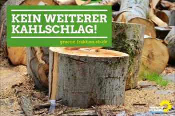05.04.2018 | Kahlschlag in Ensheim und Dudweiler: Grüne erwarten Erklärung von Saarforst