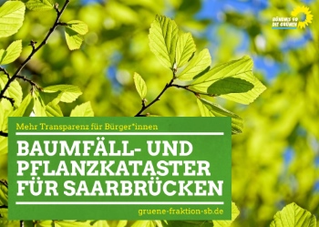 24.04.2018 | Baumfäll- und Baumpflanzkataster für Saarbrücken muss endlich kommen!