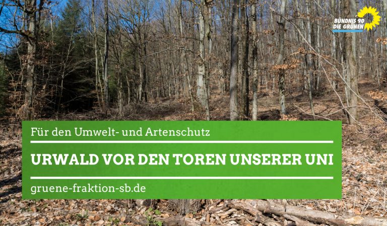 14.03.2019 | Alleinstellungsmerkmal für Forschungsstandort: Grüne für Urwald vor den Toren der Uni