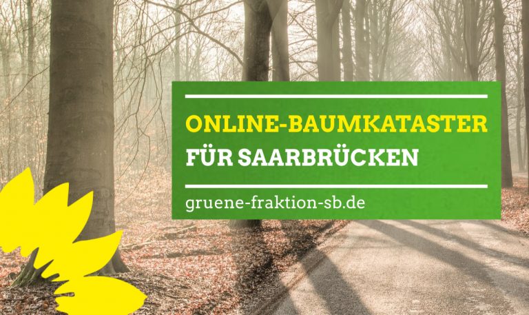 07.03.2019 | Online-Baumkataster einführen: Infos über Zustand von Bäumen, über Fällungen und Ersatzpflanzungen﻿
