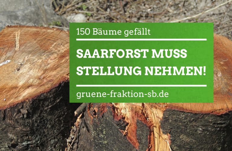 03.04.2019 | ﻿Baumfällungen am Sonnenberg: Grüne kritisieren Saarforst – Stellungnahme im Umweltausschuss gefordert