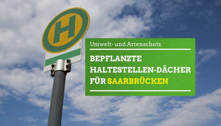 21.11.2019 | Verbesserung des Stadtklimas: Begrünte Haltestellen für Saarbrücken