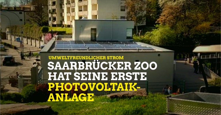 Stadtratskoalition begrüßt Einrichtung der ersten Photovoltaik-Anlage im Saarbrücker Zoo